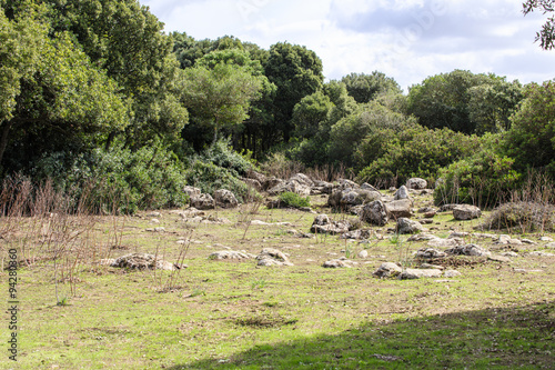 Sardinië, hoogvlakte Giara di Gesturi bij Tuili photo