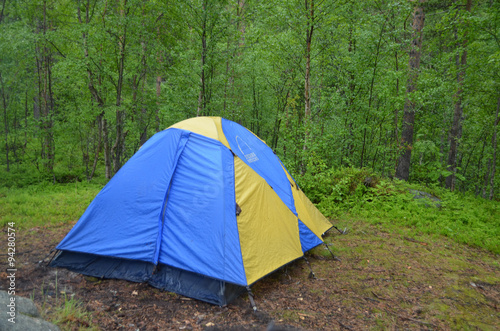Blue and yellow tent camping in a birch forest in Norway