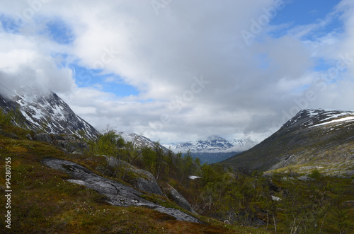 Norwegian mountain valley, snowy slopes, birch trees in valleys