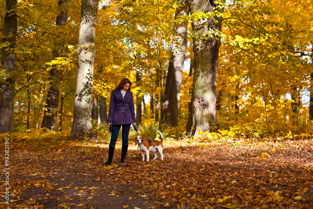 Fototapeta premium walk in the Park