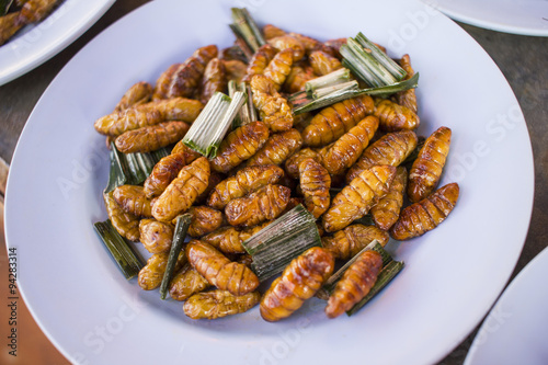 fired silk worm as snack in Asia countries