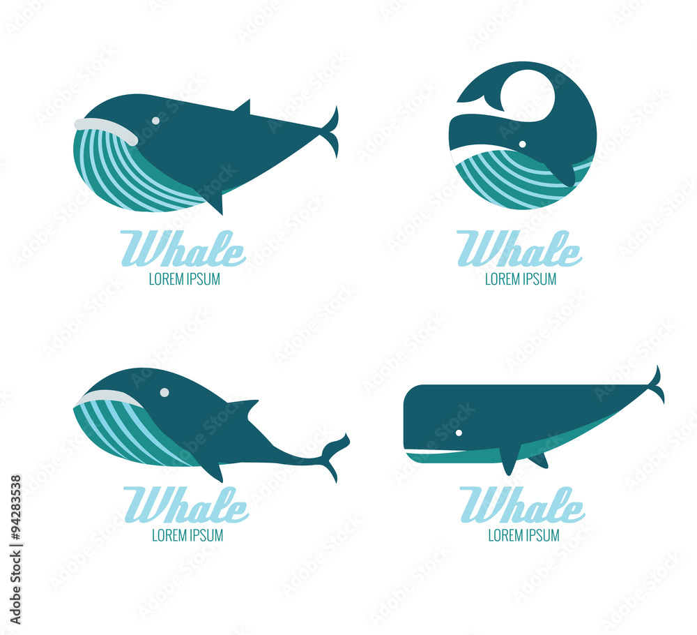 Naklejka premium Whales icons. flat design elements. vector illustration