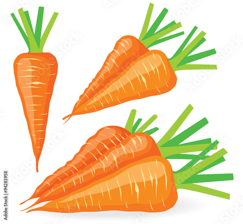 Vector carrots set