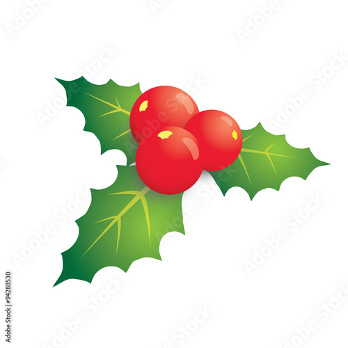 Isolated of mistletoe with berry and leaf
