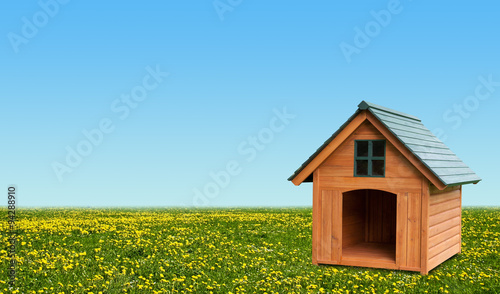 Dog House.
