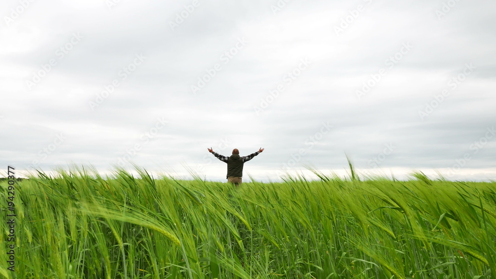 Man farmer hands up in green wheat field. 4K 3840x2160
Man farmer hands up in green wheat field. 4K 3840x2160