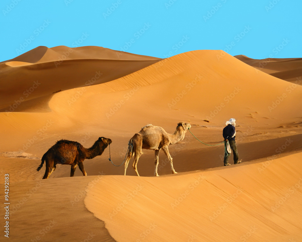 Fototapeta premium Travelling in Sahara desert
