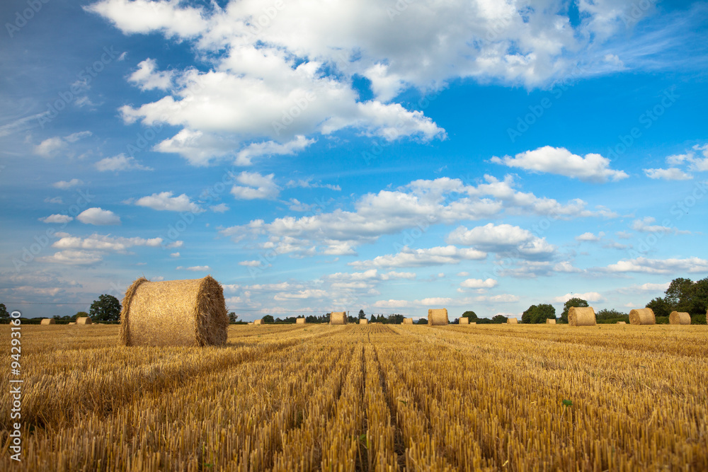 Bales against the Blue