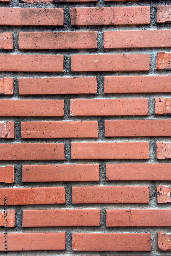 Fototapeta premium brick wall texture
