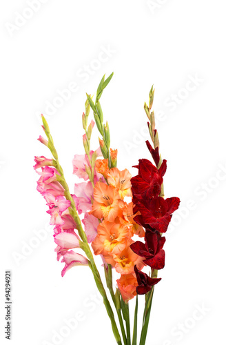Fototapeta Naklejka Na Ścianę i Meble -  bouquet of gladiolus