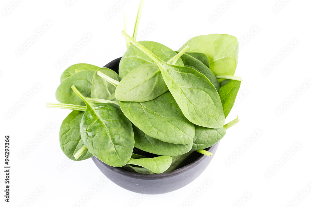 Green spinach on a white background Green spinach on a white background