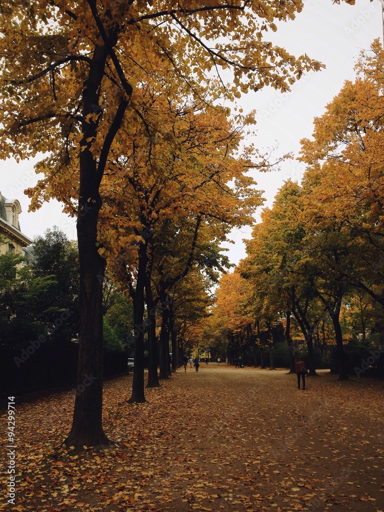 Fototapeta premium Promenade