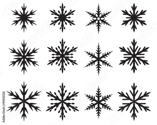 Set of snowflakes in many style