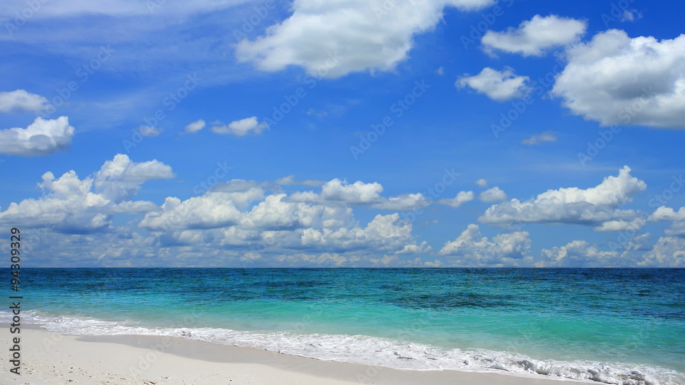 Beautiful tropical beach scene with tilting up camera Beautiful tropical beach scene with tilting up camera