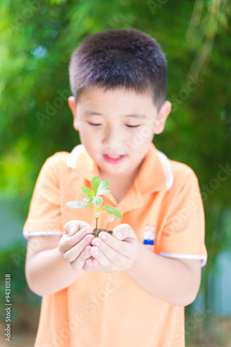 Asian child holding young seedling plant in hands  in garden  on