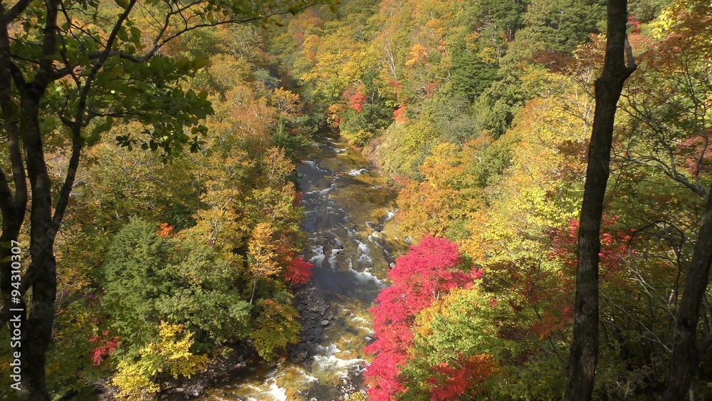 秋の紅葉シーズンの秋山郷の渓谷 秋の紅葉シーズンの秋山郷の渓谷