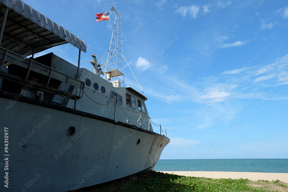 Naklejka premium surveillance ships