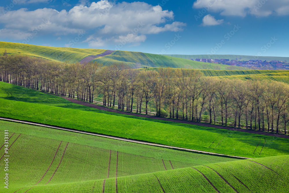 Fresh Landscape of fields in countryside - different colors of