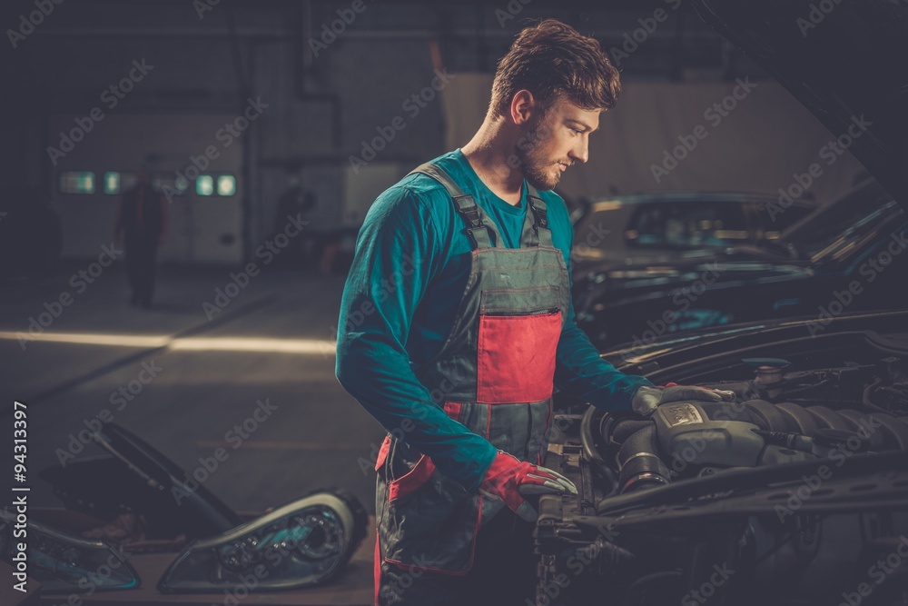 Mechanic checking under hood in a workshop