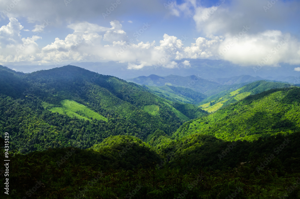 Obraz premium Stunning aerial view of spectacular jungles