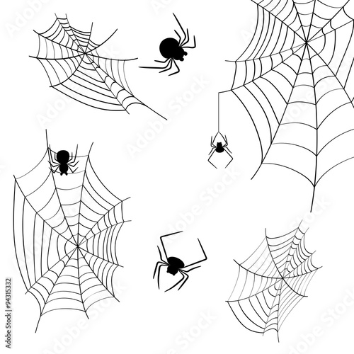 cobwebs and spiders on a white background