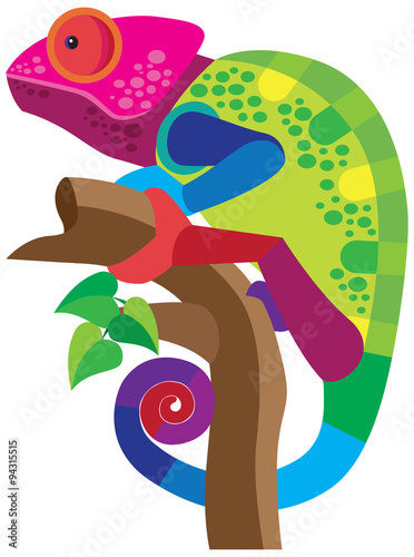 chameleon