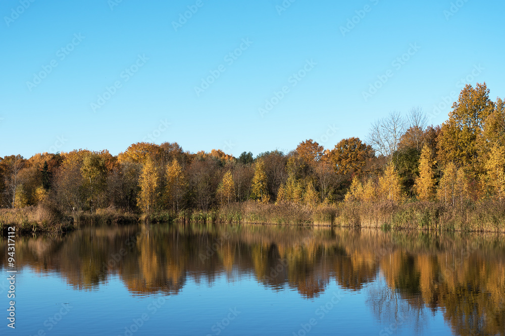 Autumn colors in still lake.