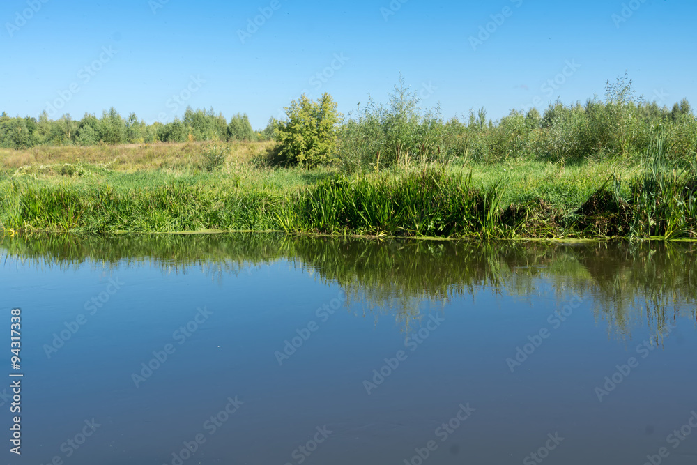 Green Forest and River