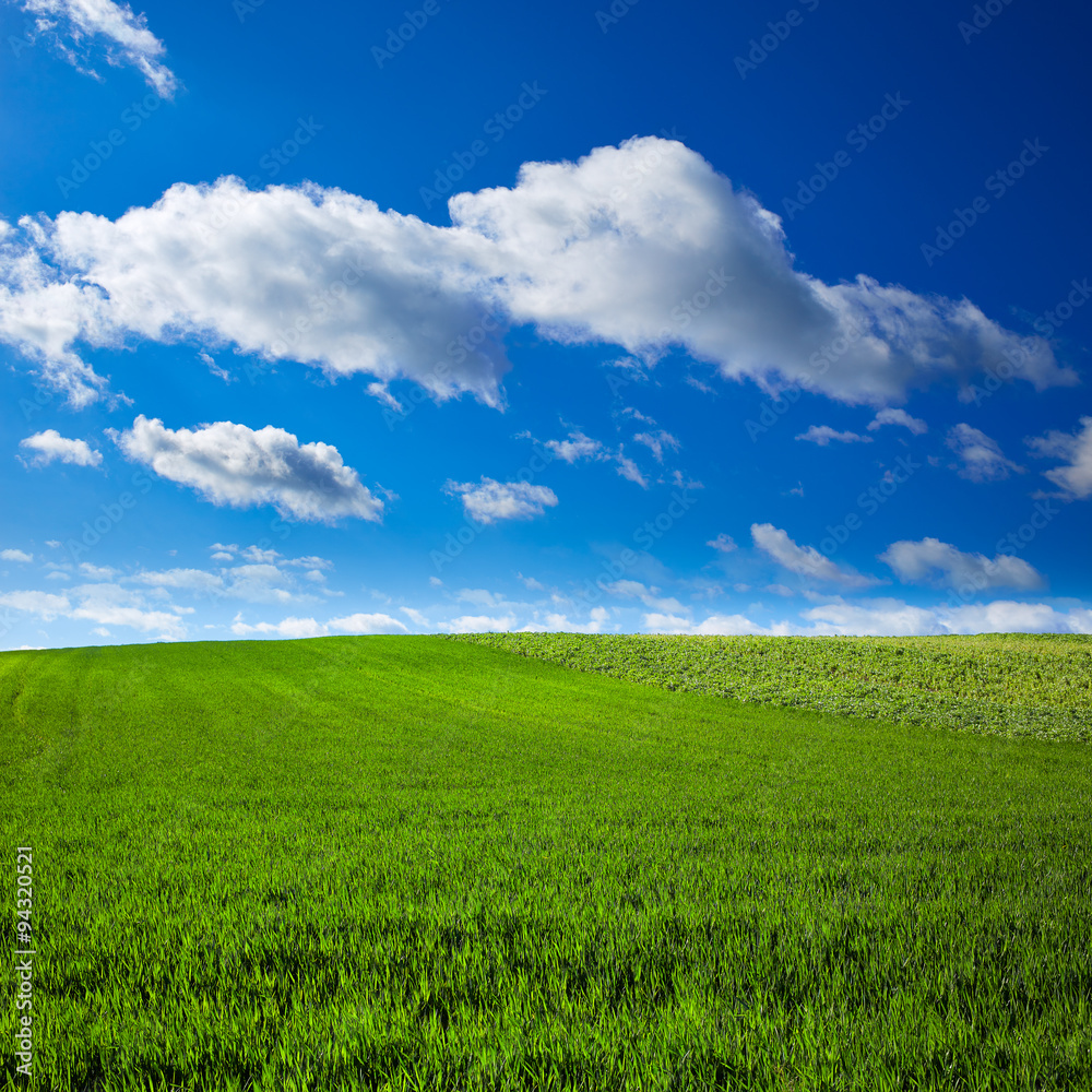 Cereal fields by The Way of Saint James in Castilla