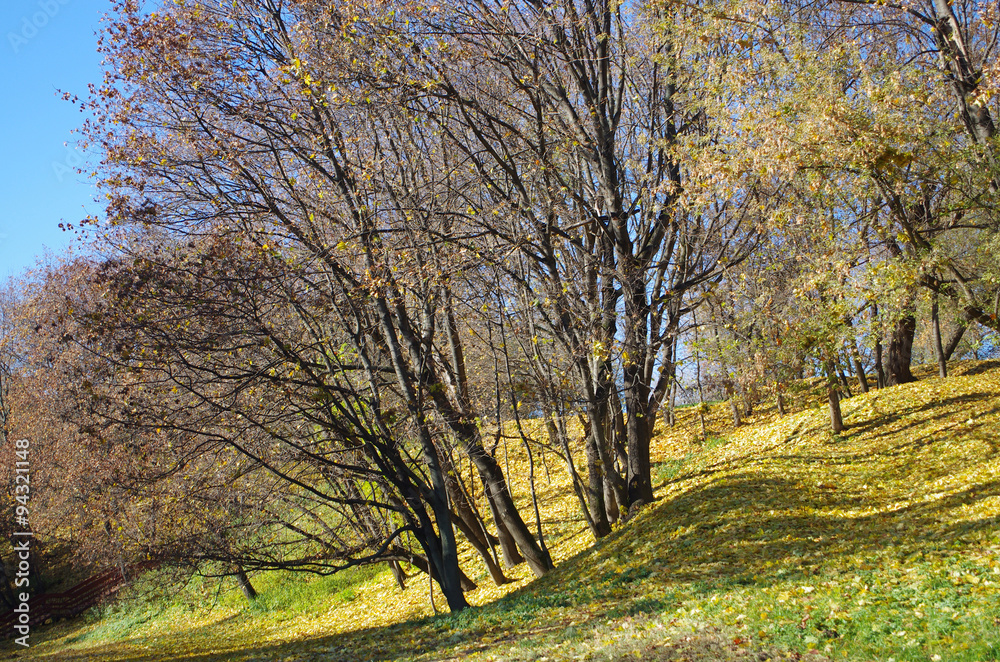 MOSCOW, RUSSIA - October 21, 2015: Park at the Kolomenskoye esta