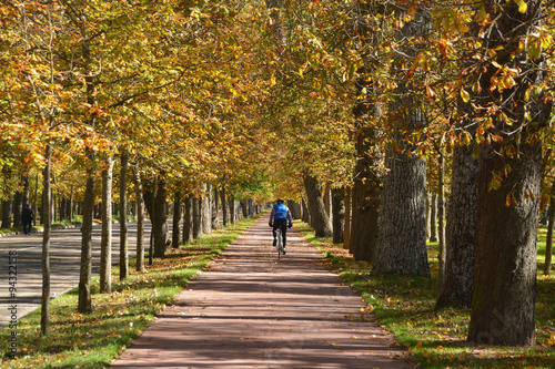 ciclista bajo los arboles en otoño