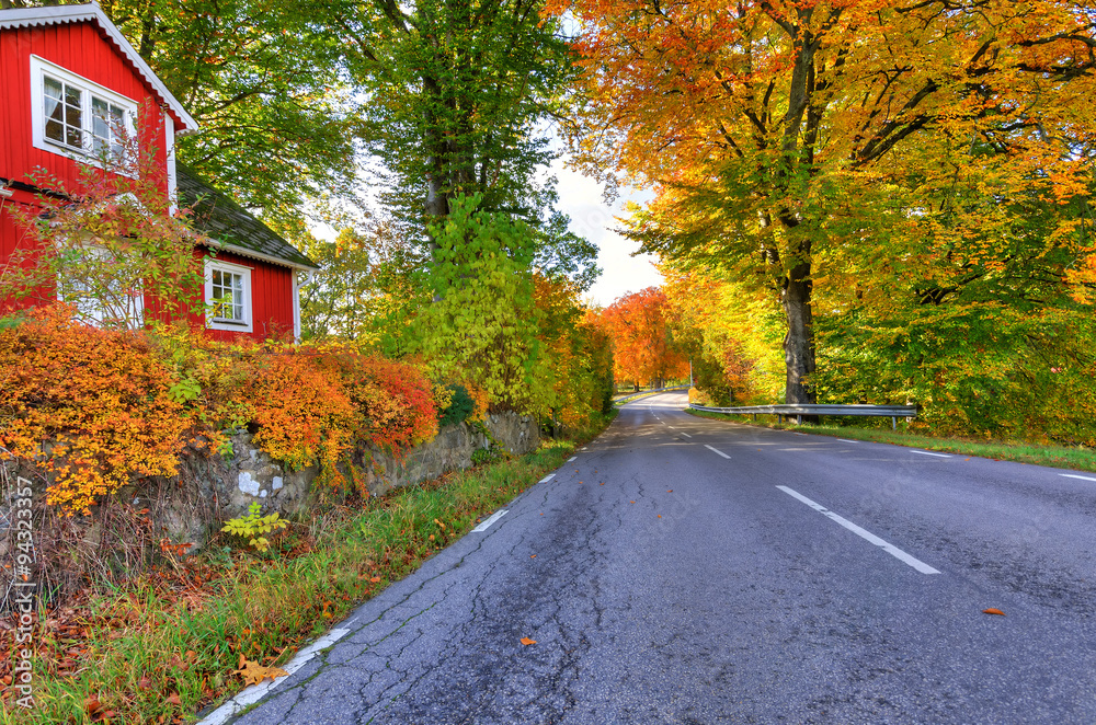 Swedish road colors in autumn season