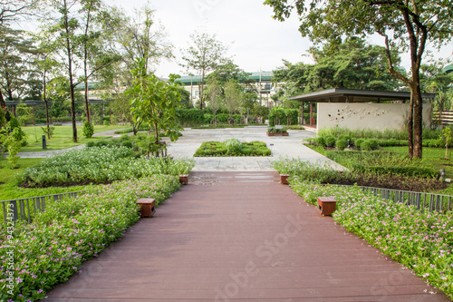 walkway in park