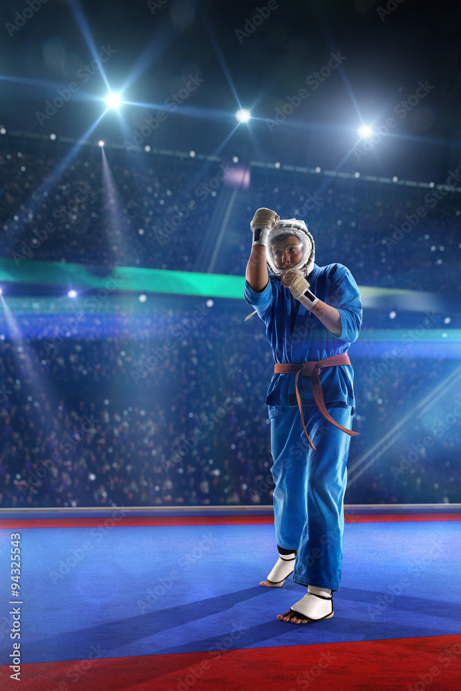 Kudo fighter is working out on the grand arena Kudo fighter is working out on the grand arena