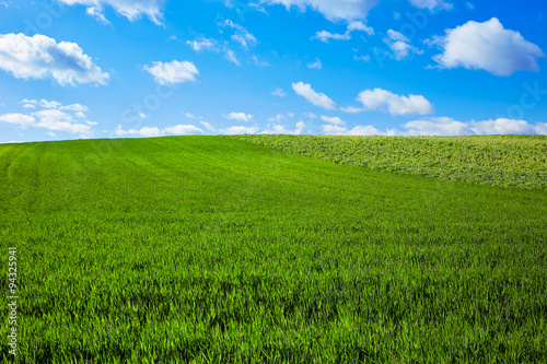 Cereal fields by The Way of Saint James in Castilla