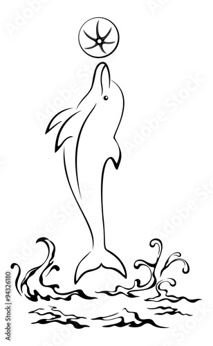 Dolphin, Waves and Ball Contours