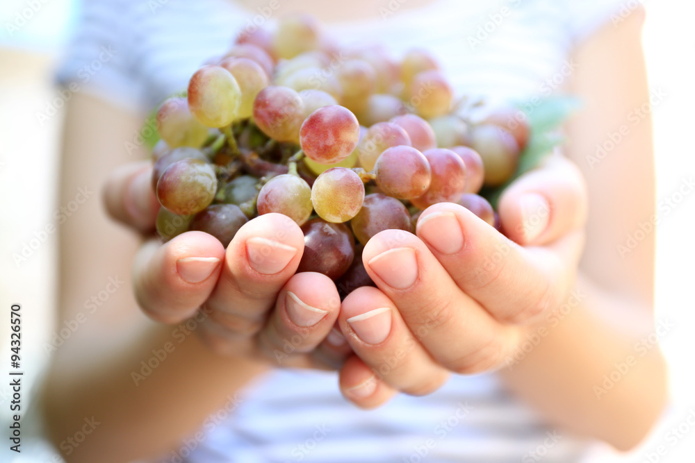 Juicy bunch of red grape in woman hands, close up