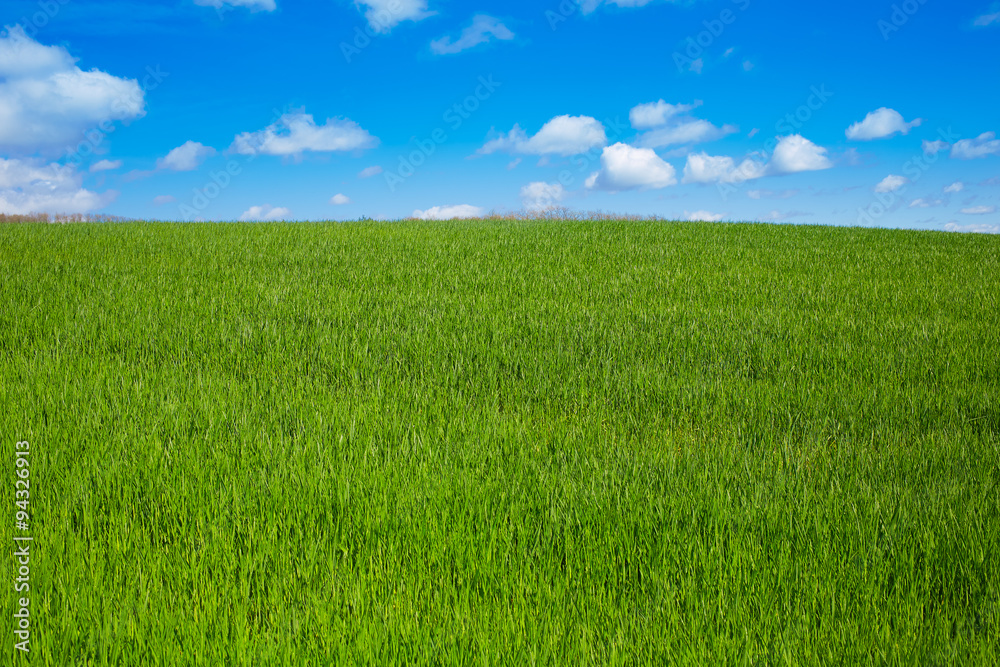 Cereal fields by The Way of Saint James in Castilla