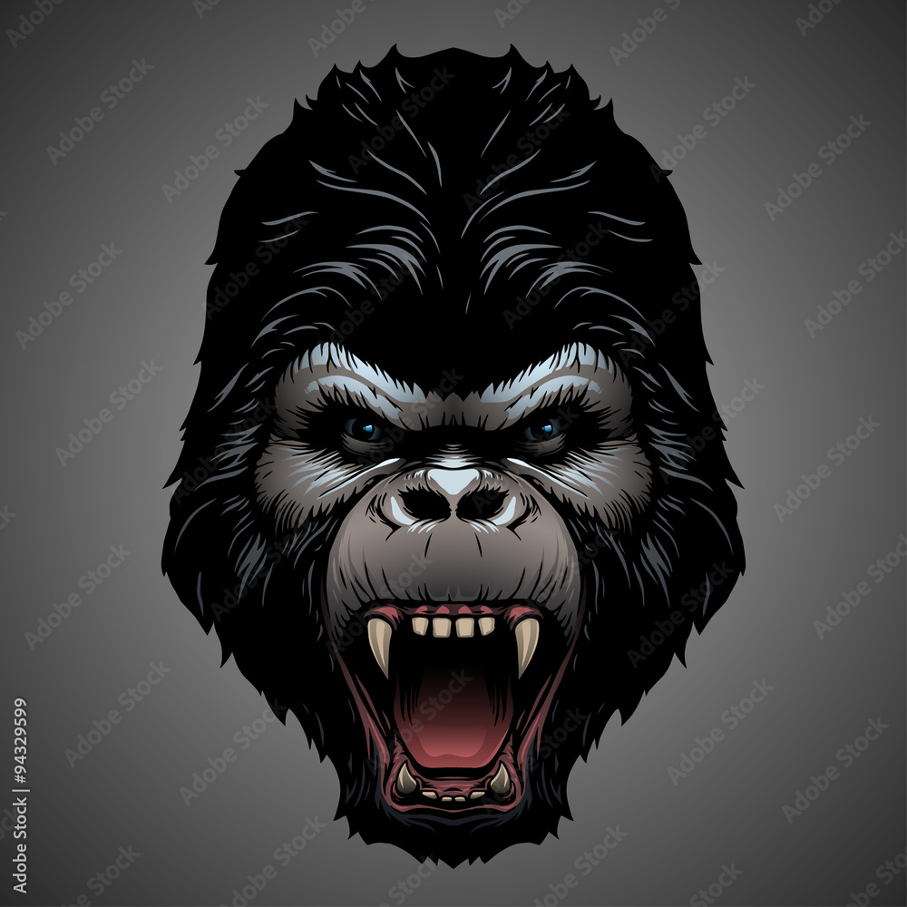 Fototapeta premium Gorilla head illustration