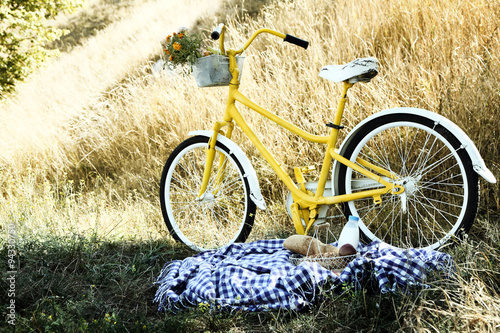 Old yellow bicycle and picnic snack on checkered blanket on grass in park