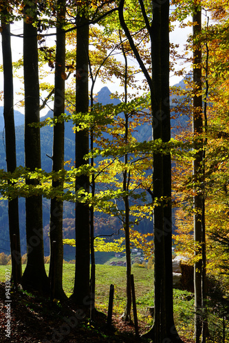 Herbst im Berchtesgadener Land nahe Ramsau