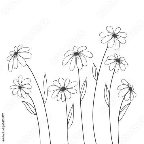 Fototapeta Naklejka Na Ścianę i Meble -  daisy flowers hand drawn vector for background , decorate, cover