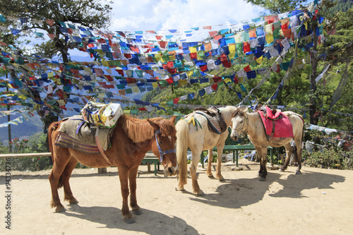 ブータン、タクツァン僧院への道のりを歩く馬