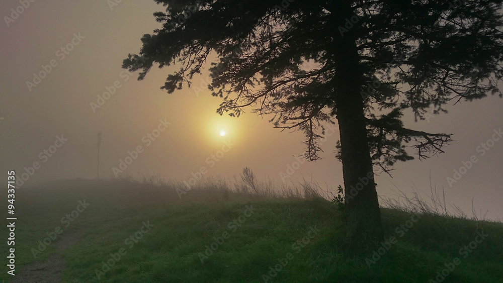 Obraz premium Sonnenschein hinter Nebel