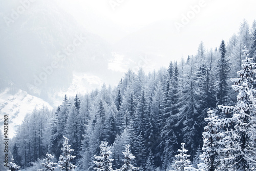 Snow covered forest #94338969