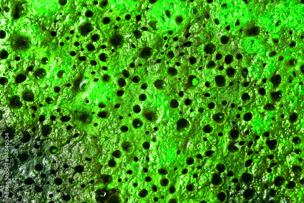 Fototapeta Close up of a grilled slice of bread painted in green