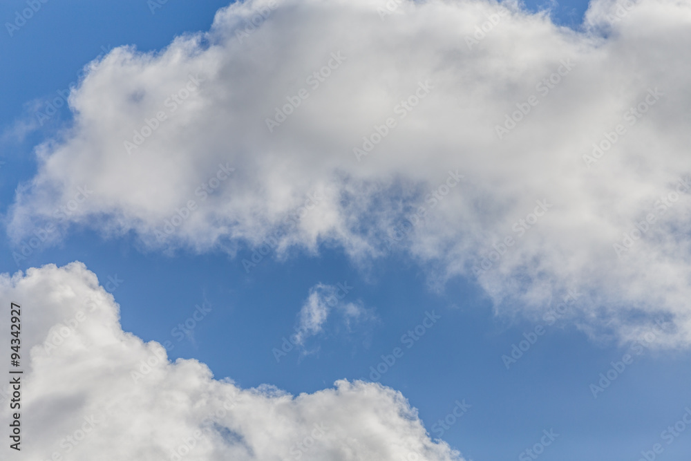 Obraz premium Zugvögel