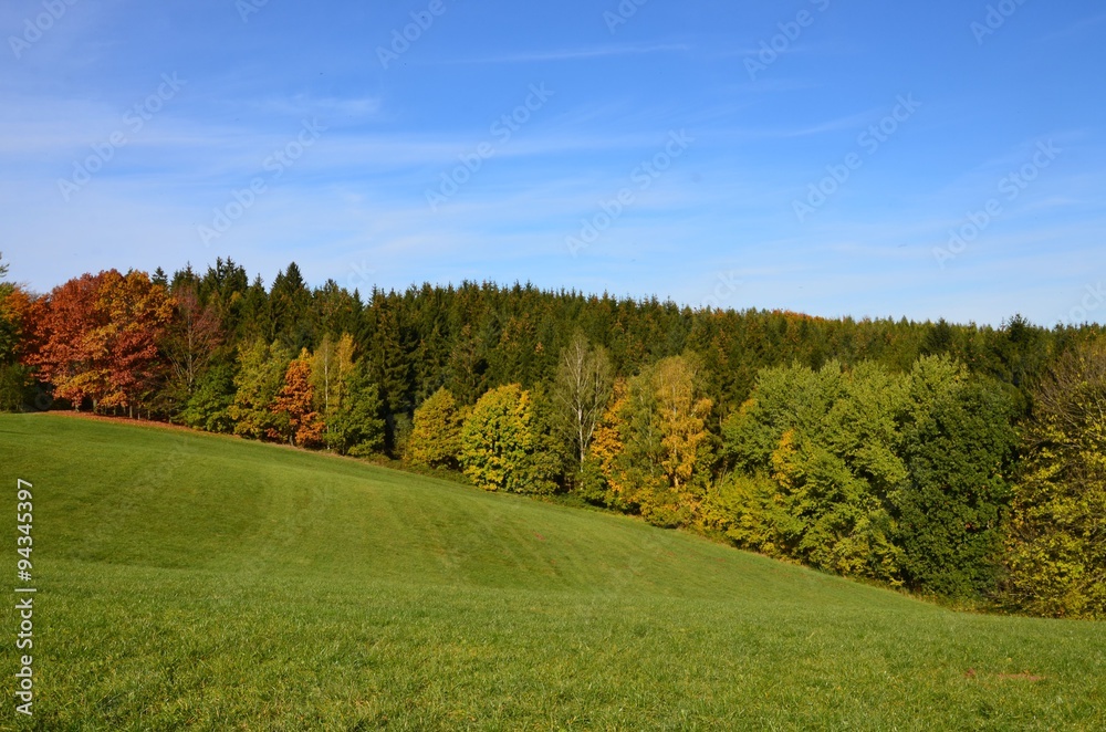 Wald in Hügellandschaft herbstlich