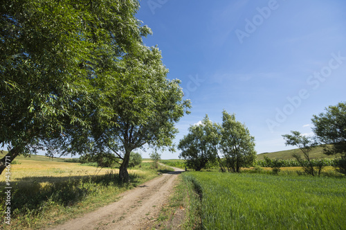 Ground road in a rural landscape