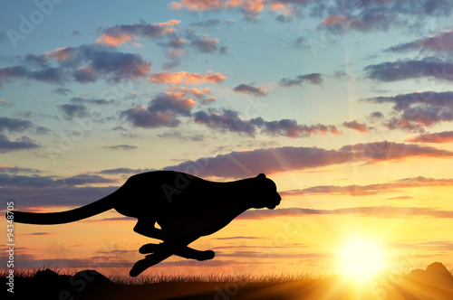 Fotografie, Tablou Running cheetah silhouette